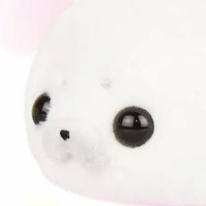 batstachio's profile picture. stay true , be y ♡ u ! 🍀
 his seal pup 🦭