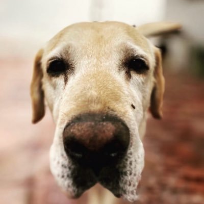 MicroMacheen's profile picture. 