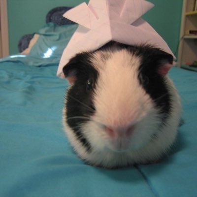 lov4oule's profile picture. 머릿속에오직해찬뿐,,💭