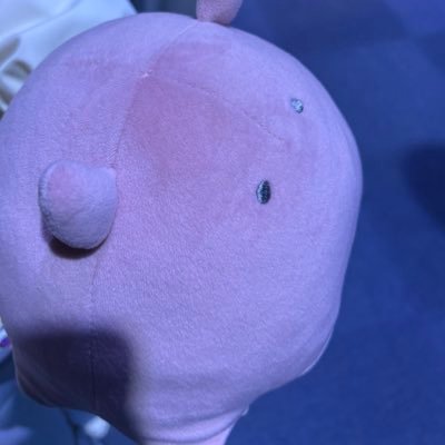 oshino_TRPG's profile picture. たこめん TRPGとVALORANTとグラブル