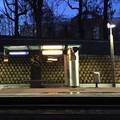 Trivorne's profile picture. 𝚆𝚛𝚘𝚗𝚐 𝚍𝚊𝚝𝚎, 𝚠𝚛𝚘𝚗𝚐 𝚙𝚕𝚊𝚗𝚎𝚝, 𝚜𝚘𝚛𝚛𝚢 𝚏𝚘𝚛 𝚝𝚑𝚎 𝚒𝚗𝚌𝚘𝚗𝚟𝚎𝚗𝚒𝚎𝚗𝚌𝚎.