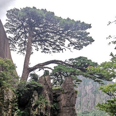 FrankBa85008842's profile picture. Eyes, should not be used to cry for people who'll hurt you, and should be used to find the right man.