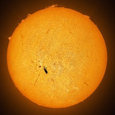 Ikcelod's profile picture. And then the mastermind said, let there be math. Obsessed with time and human culture.