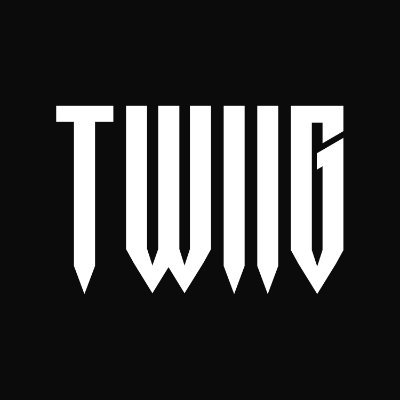 TWIIGofficial's profile picture. Musical Project from Croatia 🇭🇷
50,000,000+ Streams
Music Played Live by Armin van Buuren, David Guetta, Tiesto, The Chainsmokers, Alan Walker, & more