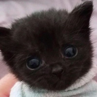 Fifilol12's profile picture. Hi