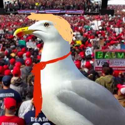 Michaelbalszo's profile picture. 