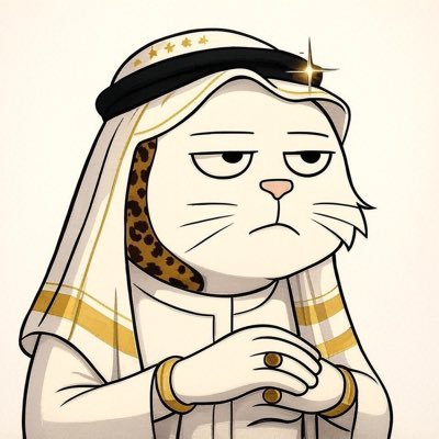 iamopokurichie's profile picture. @smcdao #Truebeliever #BELIEVE,#Web3, #Crypto