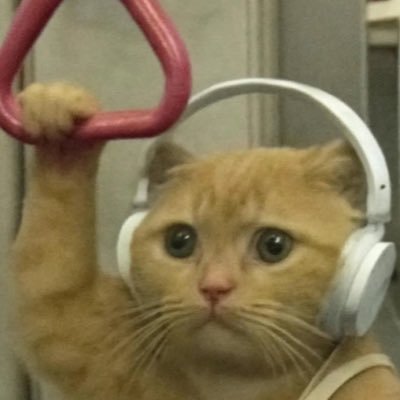 tiayaxx's profile picture. 