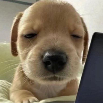 rowlrdl's profile picture. 헝이 약간 그…….거시기가 크다는 뜻이야