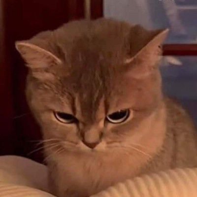 BuleMoonB's profile picture. รักน้องน้ำปุ๋ง🐰ขอบคุณปุ๋งกับเจ๋งๆที่จับมือกันแน่น🦆🐰ทำให้เรามีแสงสว่างในการใช้ชีวิต