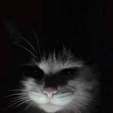 bushsoftware's profile picture. game developer