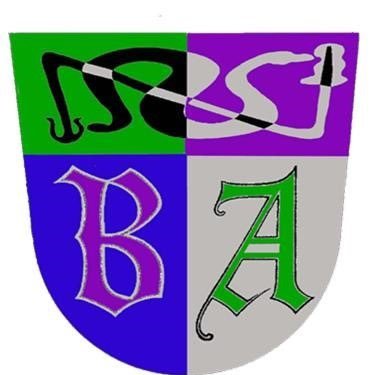 Baldragon Academy Profile