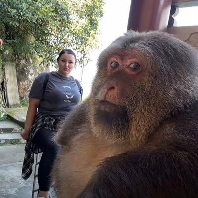 Enrggy's profile picture. 🎣