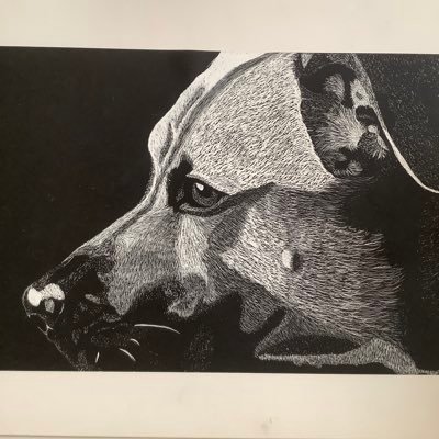 southjersy's profile picture. S. JERSEY GIRL 🏖🌻Fiscally conservative, married mom of 2 adult kids. Rescued 🐶from Tupelo,MS and 🐈 from Camden, NJ 🦅E-A-G-L-E-S 🦅