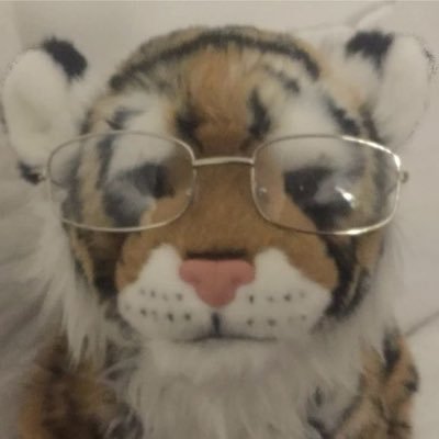 summerevenings_'s profile picture. 