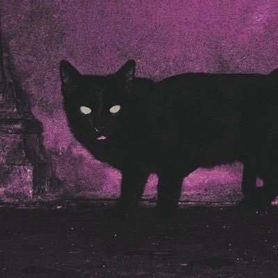 pisikatari's profile picture. surekli overshare yapicam ve kimse beni pegle diye rahatsiz etmicek… bi xêr hatin li xêwna pisîka tarî !!