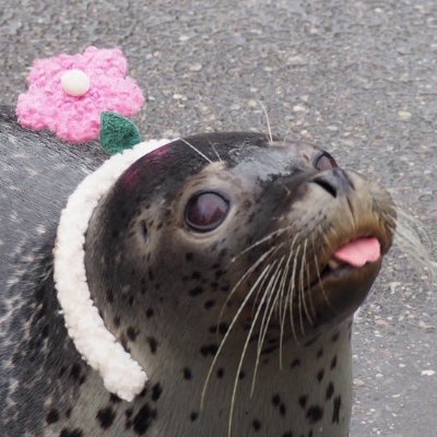 b1utsauger's profile picture. the hurt is half the fun