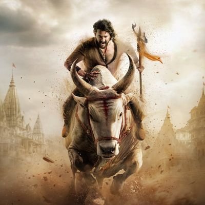 UrsVinodhDHFM's profile picture. 