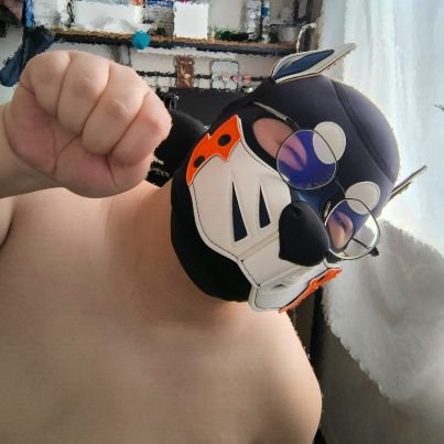 KkedouZ's profile picture. 喜🐻🐷，开放关系可交友，有一条很可爱的狗狗@glaLYGHuSrpbAZQ