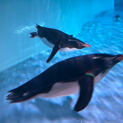 jcpa202708's profile picture. 