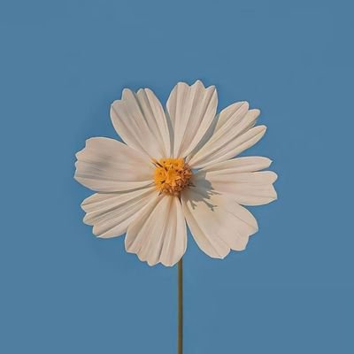 tewn134's profile picture. อย่ามายุ่งกับผม!!!!!!