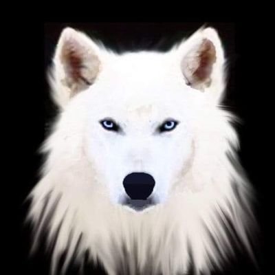 77Coolblue71974's profile picture. THE SOCIETY OF THE UNDERGROUND RESISTANCE FREEDOM 🐺🌹🐺🌹🐺🌹🐺🌹