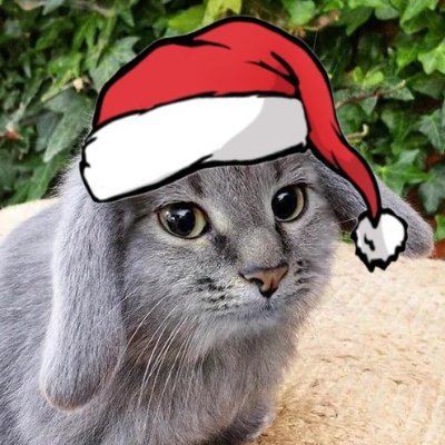 Coaled_cs's profile picture. 