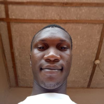 simon_ugoc44071's profile picture. I'm a Tech savy and a Virtual librarian exploring how libraries evolve in the digital age. Sharing stories, tools, and insight through 'The Living Library'.blog