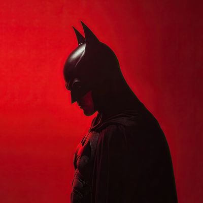 the_living_bat's profile picture. Senior Engineer 🛩 | New here ✨️