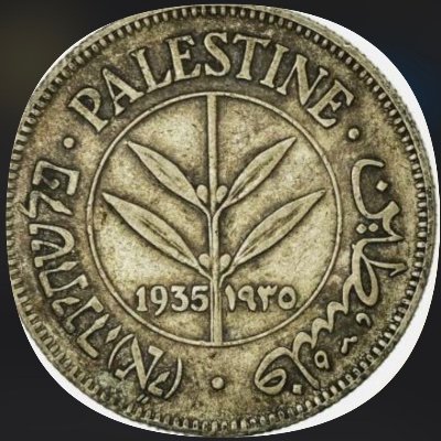 SunRio55012's profile picture. 