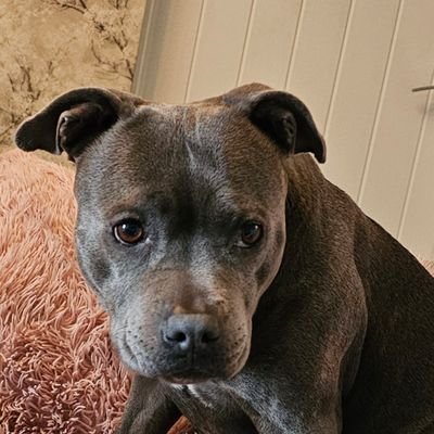 glcoleman34's profile picture. 