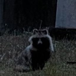 Genejs230's profile picture. 尖った人がすき