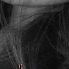 Ivan_Peakk's profile picture. 