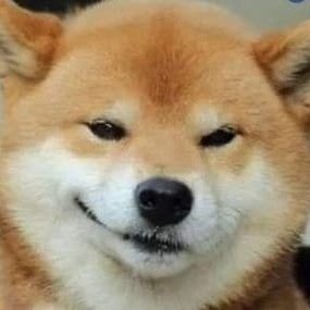 hedonistic_doge's profile picture. 27 yo;  Auditor x Architect; 
Games - Books - Movies 🔄