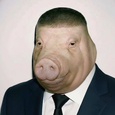 0x_owner's profile picture. 