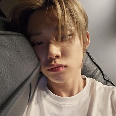 starryduve's profile picture. my own gay pain