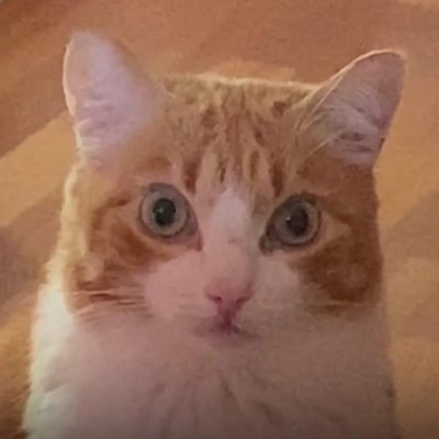 joalex79_'s profile picture. 