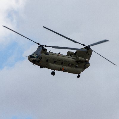 leereerkraft's profile picture. 