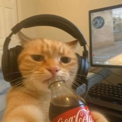 darenface2's profile picture. Here just for fun 💻🧑‍💻 || Memes || Movie ||