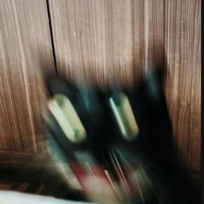 somewhat_rotten's profile picture. All my opinions are stolen from other's jaded cynicisms due to the fact that I'm a vacuous imbecile.