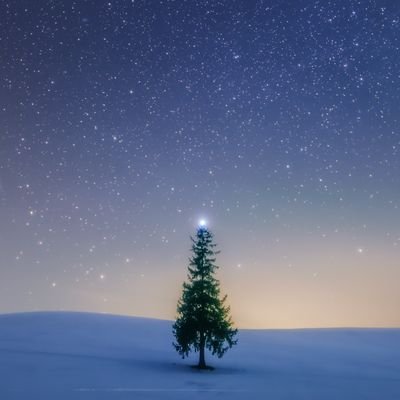 momo1516744's profile picture. 