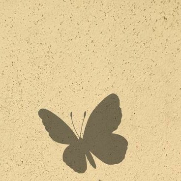 groennieuw's profile picture. levensfaseᵕ̈