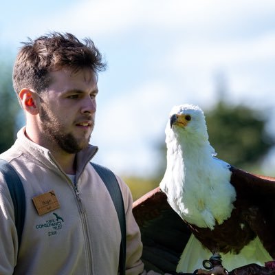HugojWilson's profile picture. Amateur wildlife photographer, 22 years old. Canon EOS r7 and a canon 400mm f5.6 L. Bird team at the hawk conservancy trust
