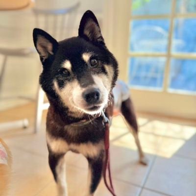 biorca32123's profile picture. 