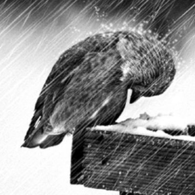 BBsmhtt31783's profile picture. 