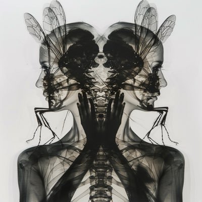 NHavarx's profile picture. | 🇬🇧 | Web3 enth | Ai Art | Design Tech | Disruptive Media | Ex NFT Degen |