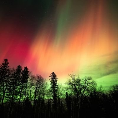 Pablolouis9's profile picture. Rockin' the Dream😎🤘
GRATITUDE