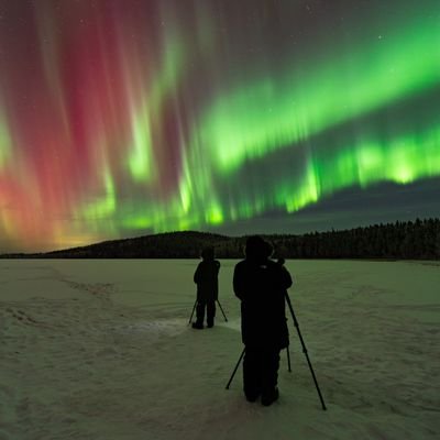 Felishorr's profile picture. 