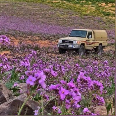 Yyuu90015107's profile picture. لا إله إلا أنت سبحانك إني كنت من الظالمين♡💜🌱