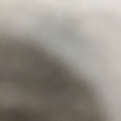 Andre72219257's profile picture. 